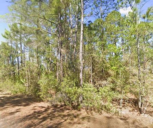 0.35 Acres of Residential Land for Sale in Georgetown, Florida