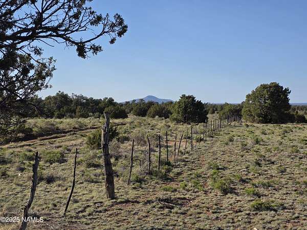 36.3 Acres of Recreational Land for Sale in Williams, Arizona
