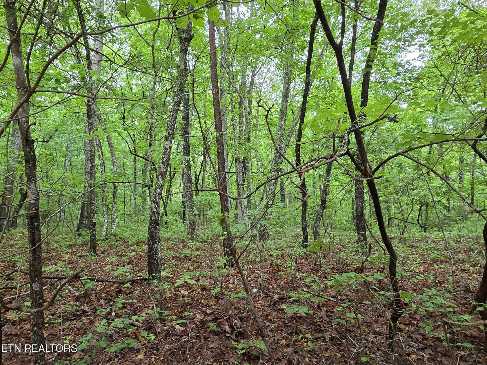 0.28 Acres of Residential Land for Sale in Crossville, Tennessee