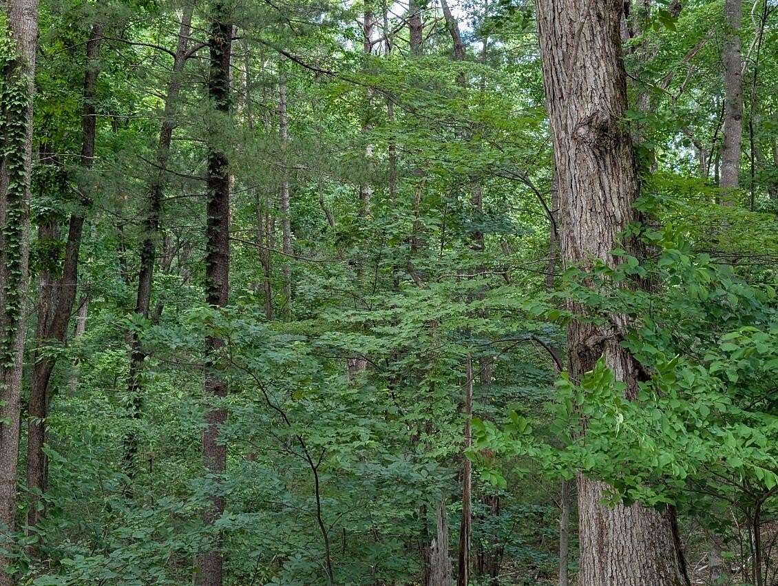 1.43 Acres of Residential Land for Sale in Hardy, Virginia