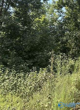 2.66 Acres of Residential Land for Sale in Athens, Alabama