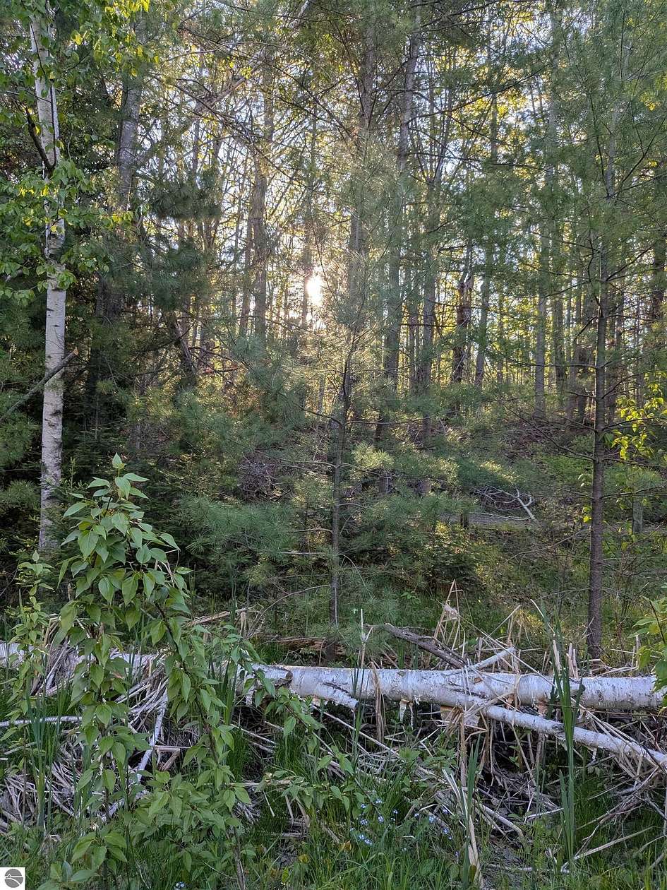 0.57 Acres of Land for Sale in Indian River, Michigan