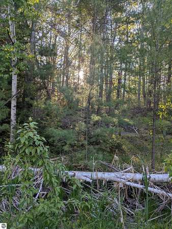 0.57 Acres of Land for Sale in Indian River, Michigan