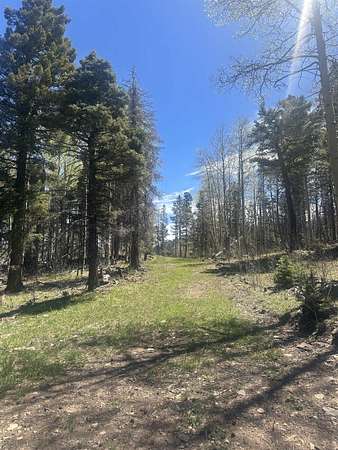 14.2 Acres of Recreational Land for Sale in Angel Fire, New Mexico