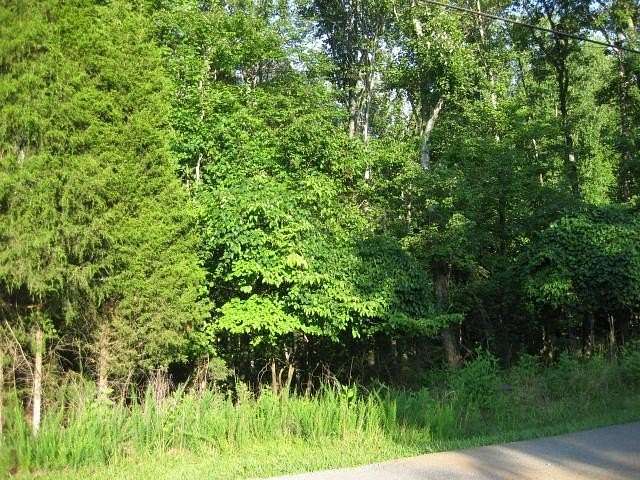 0.37 Acres of Land for Sale in Hardy, Virginia