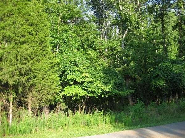 0.37 Acres of Residential Land for Sale in Hardy, Virginia