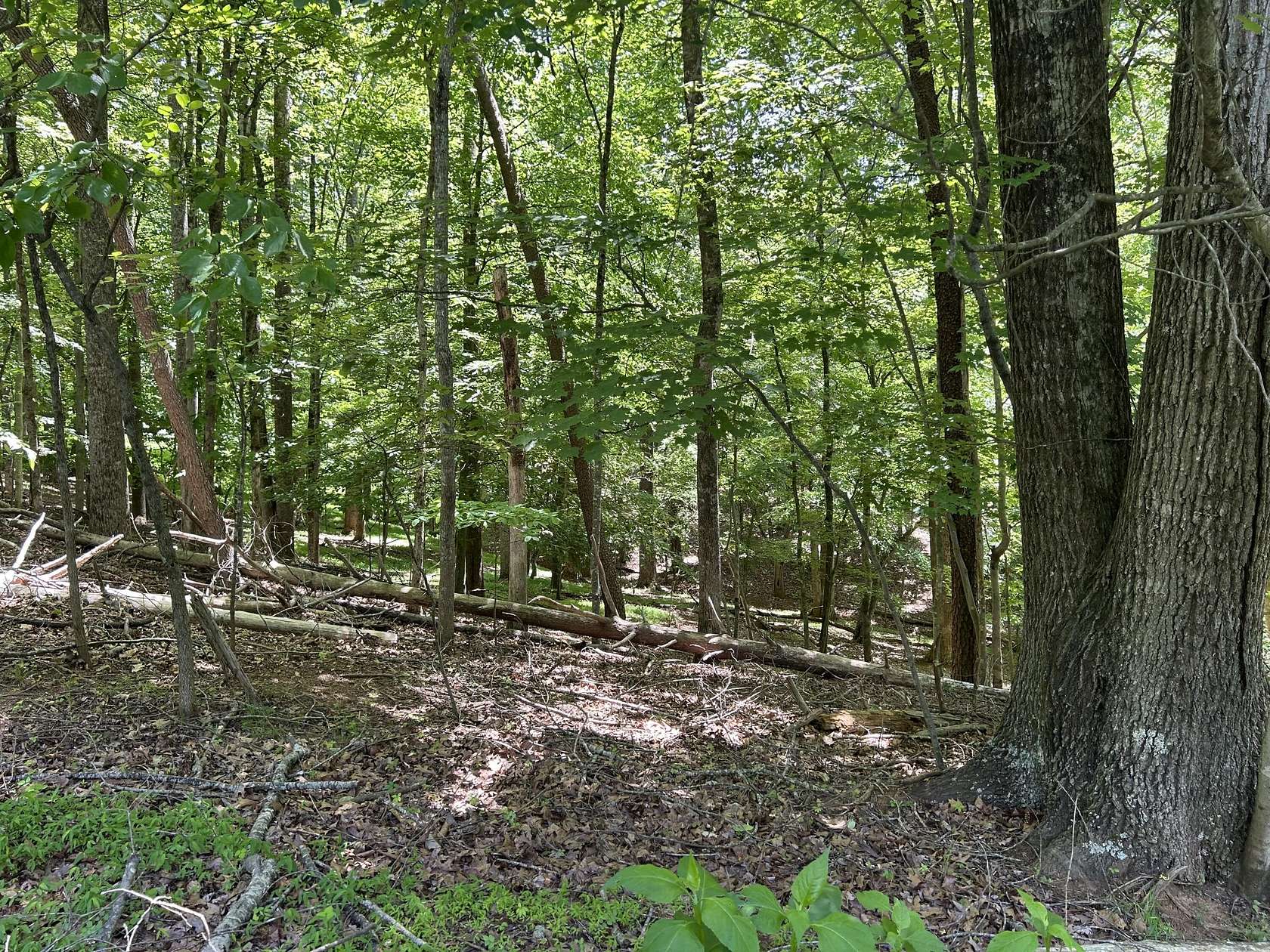 0.47 Acres of Residential Land for Sale in Hardy, Virginia