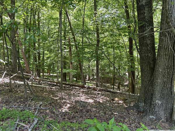 0.47 Acres of Land for Sale in Hardy, Virginia
