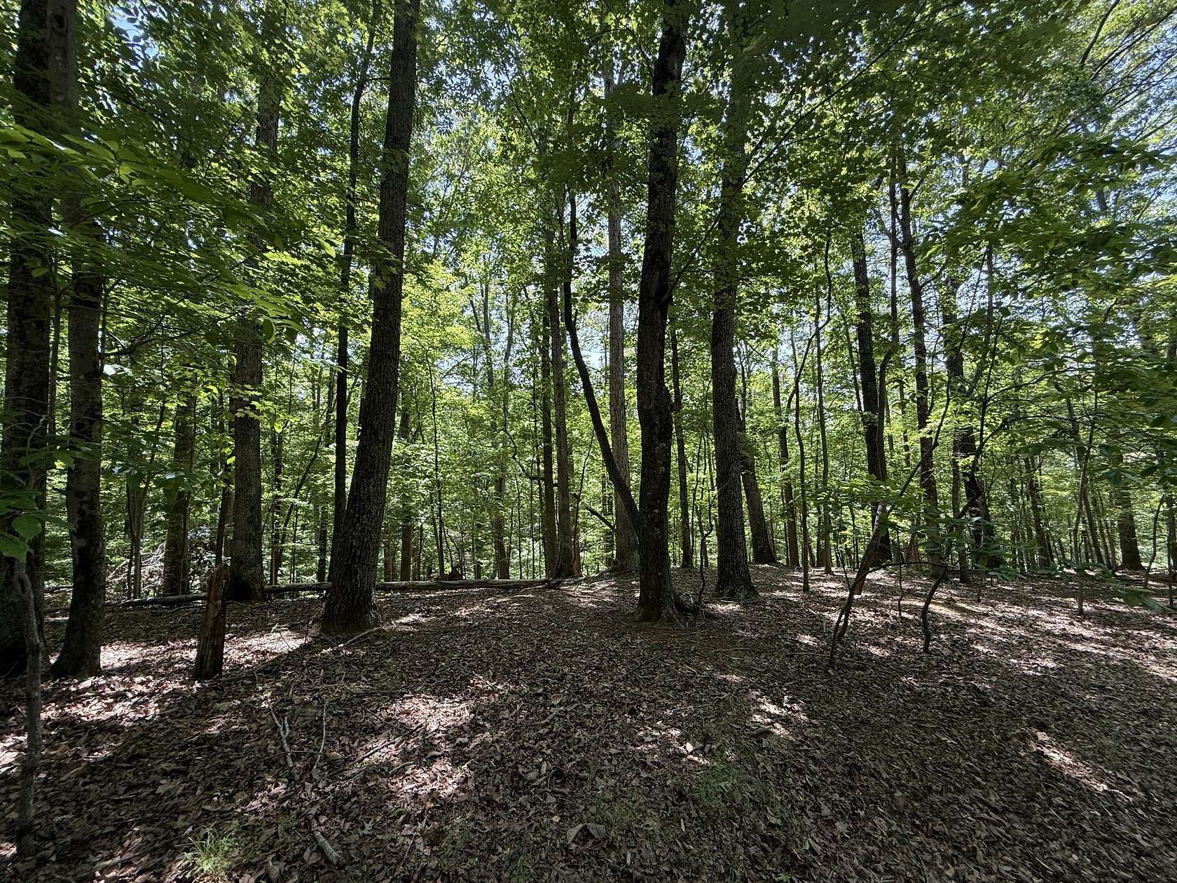 0.43 Acres of Residential Land for Sale in Hardy, Virginia