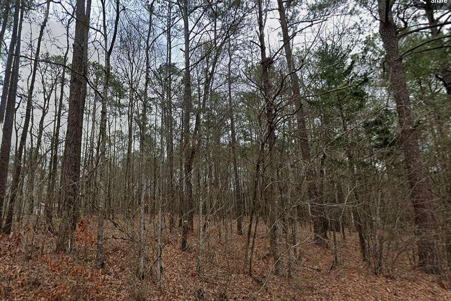 0.55 Acres of Residential Land for Sale in Dadeville, Alabama