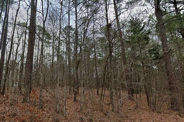 0.55 Acres of Residential Land for Sale in Dadeville, Alabama