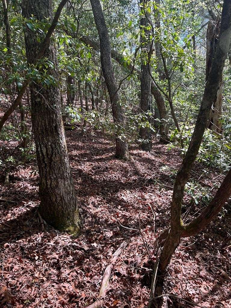 1.59 Acres of Residential Land for Sale in Franklin, North Carolina