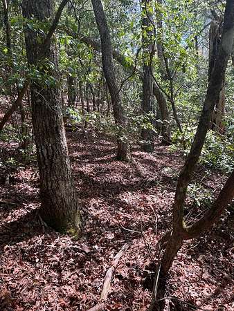 1.59 Acres of Residential Land for Sale in Franklin, North Carolina