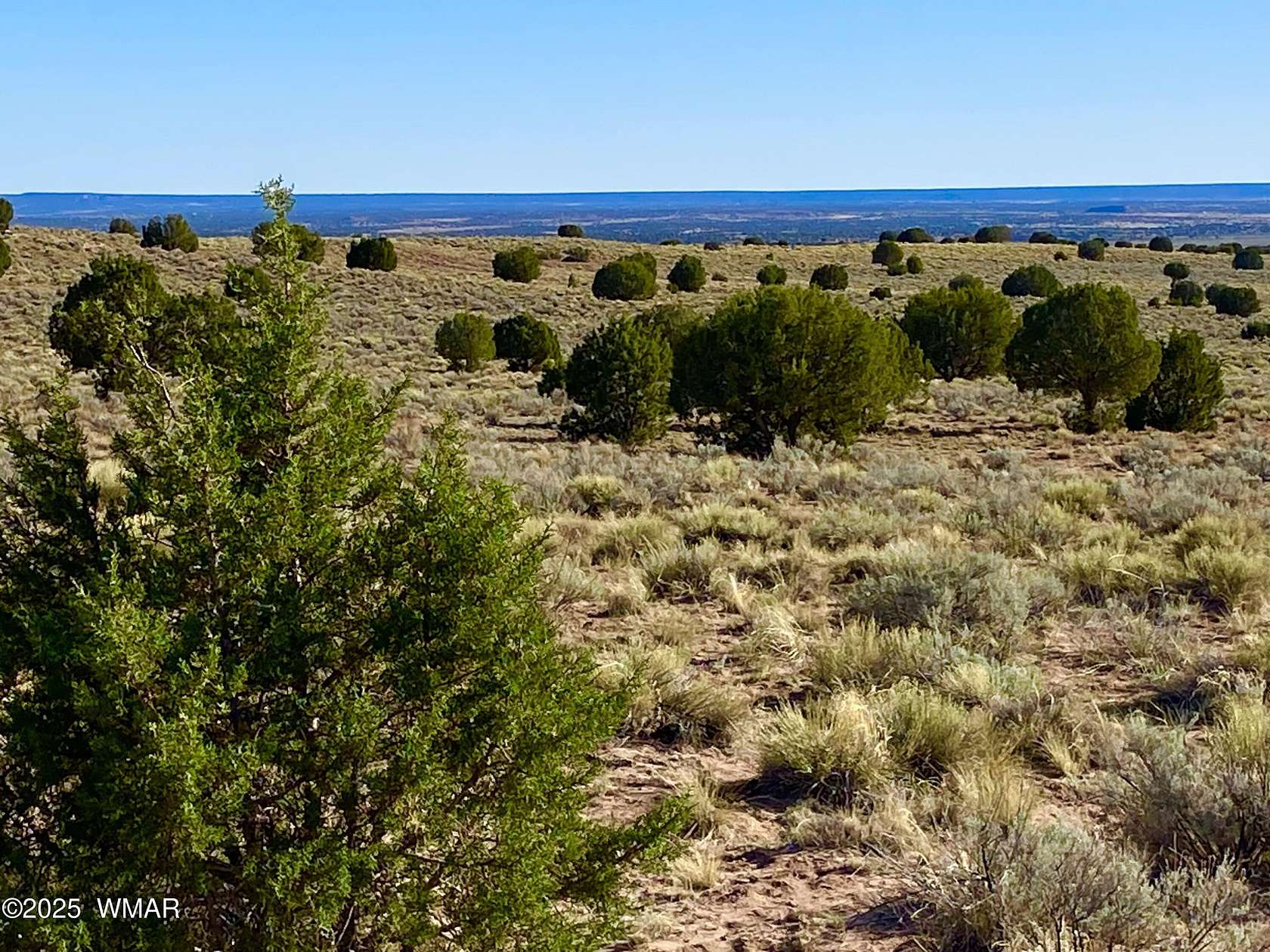 36.8 Acres of Land for Sale in Concho, Arizona