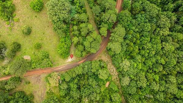 14.1 Acres of Land for Sale in Nacogdoches, Texas