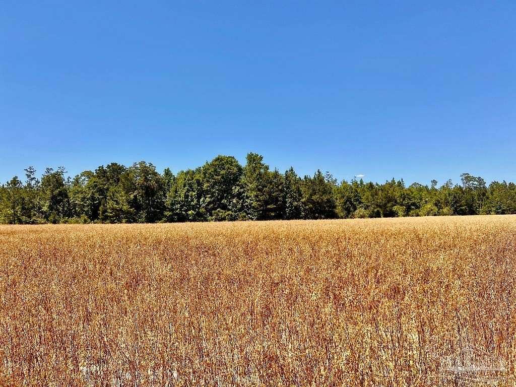 10.4 Acres of Land for Sale in Jay, Florida
