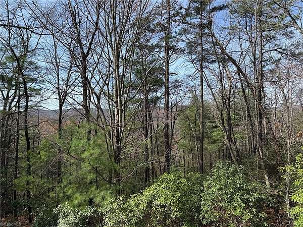 6.68 Acres of Residential Land for Sale in Purlear, North Carolina