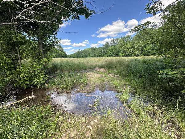 210 Acres of Land for Sale in Buffalo Valley, Tennessee