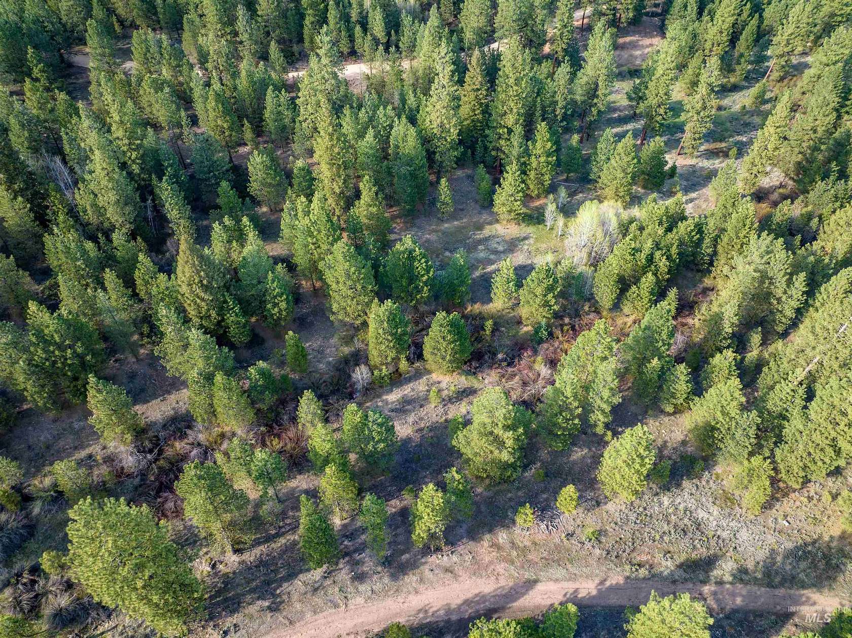 3.68 Acres of Residential Land for Sale in Placerville, Idaho