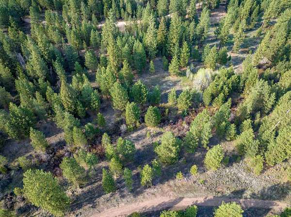 3.68 Acres of Residential Land for Sale in Placerville, Idaho
