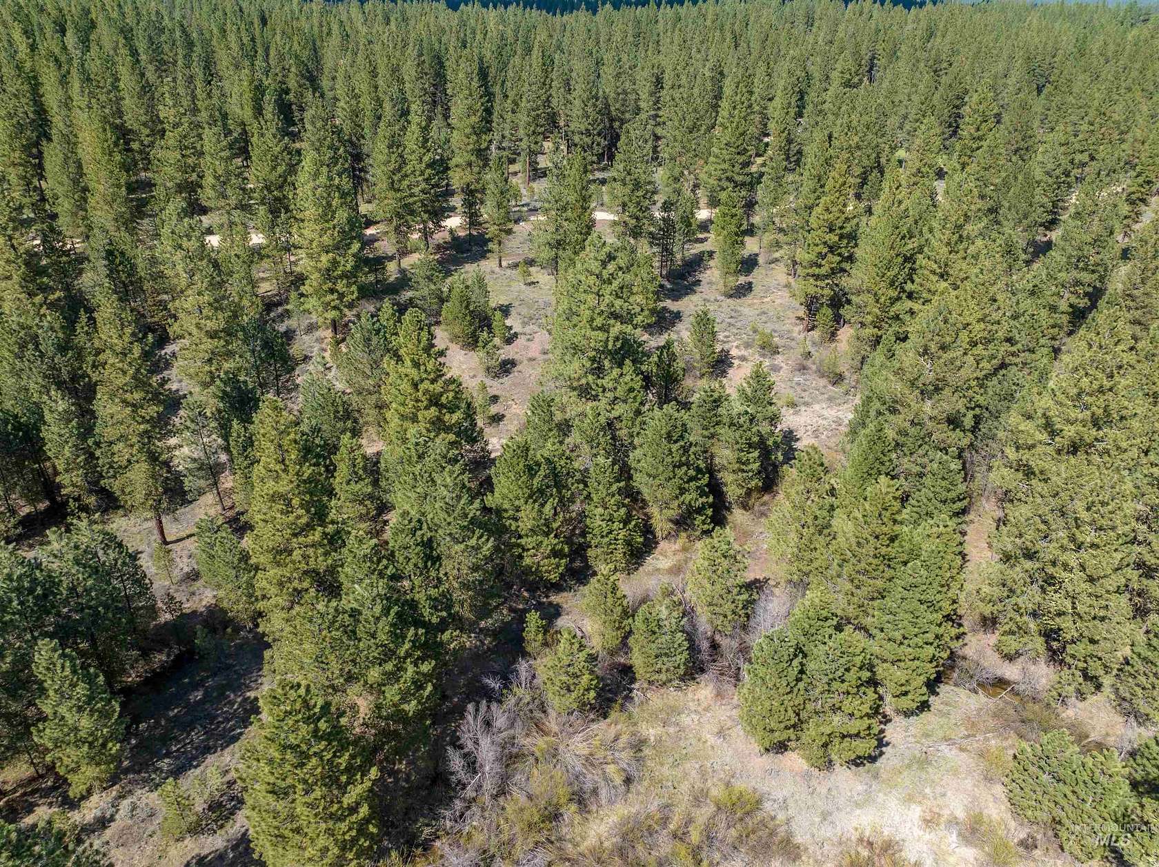4 Acres of Residential Land for Sale in Placerville, Idaho