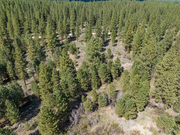 4 Acres of Residential Land for Sale in Placerville, Idaho