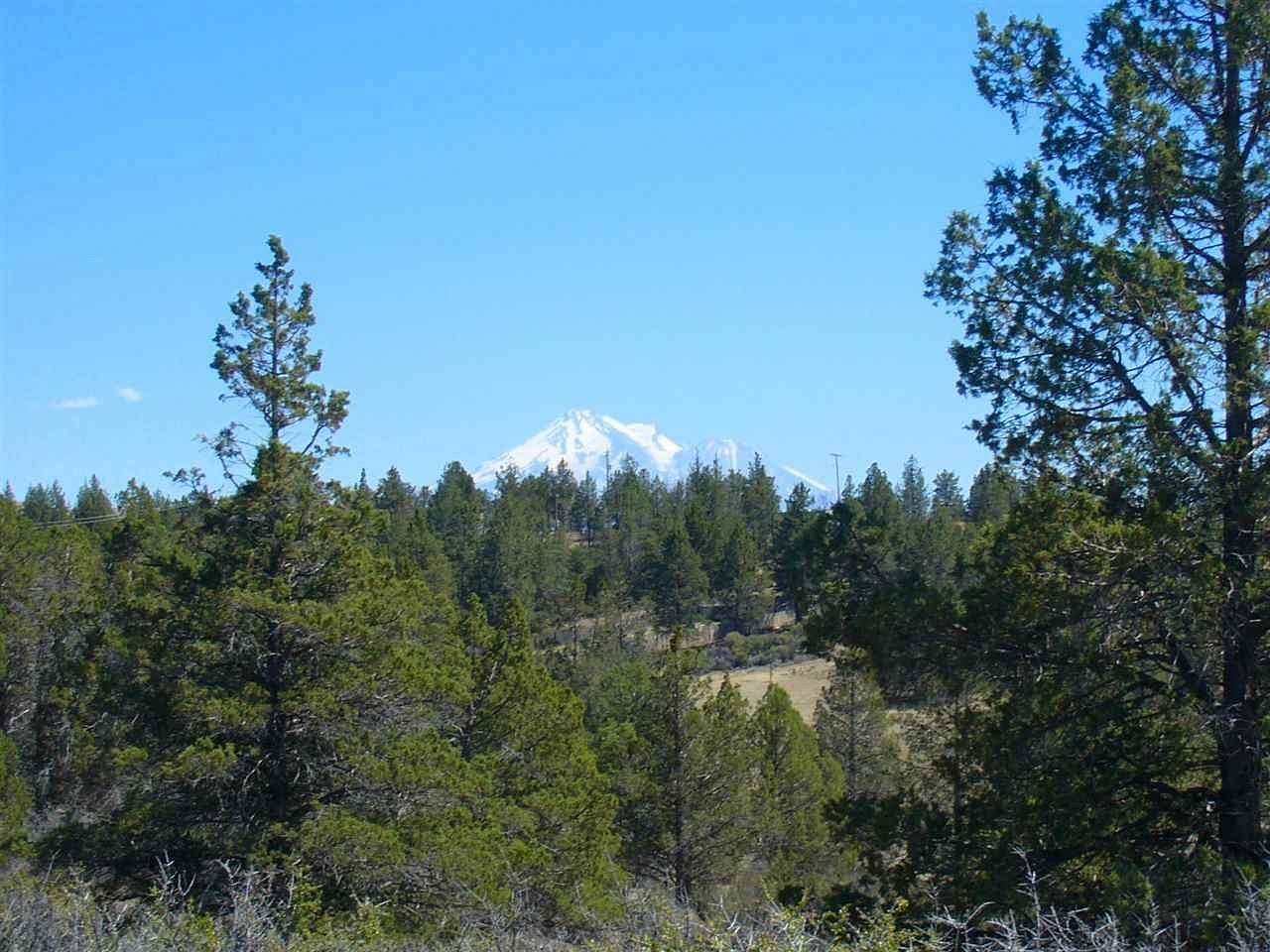 21.6 Acres of Recreational Land for Sale in Hornbrook, California