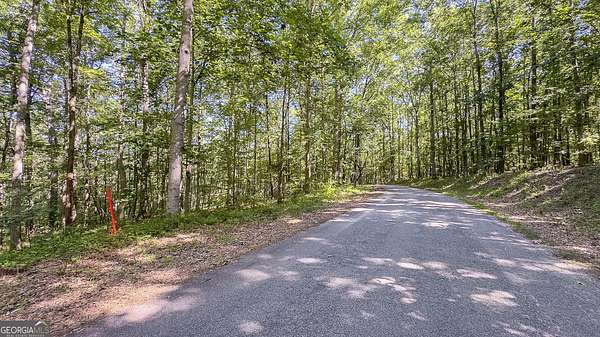 8.7 Acres of Residential Land for Sale in Waverly Hall, Georgia