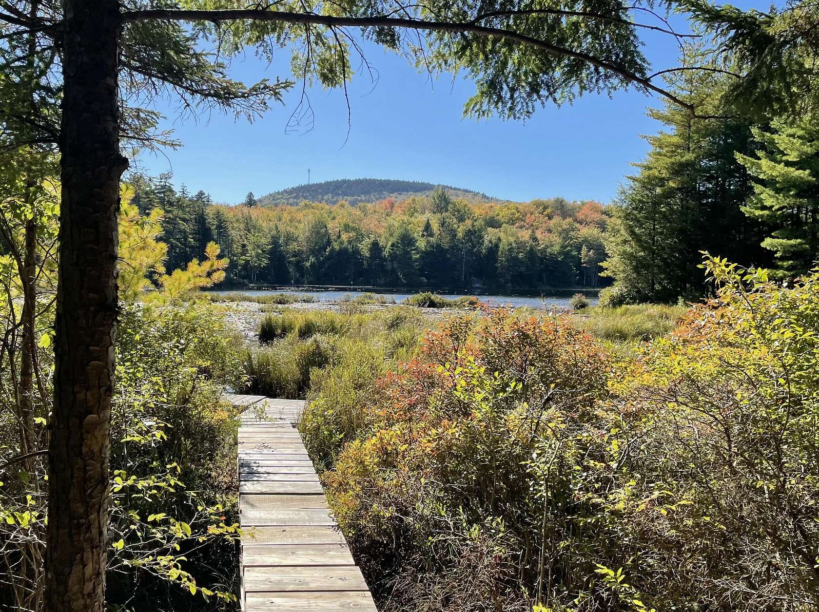 4.8 Acres of Land for Sale in Blue Hill, Maine