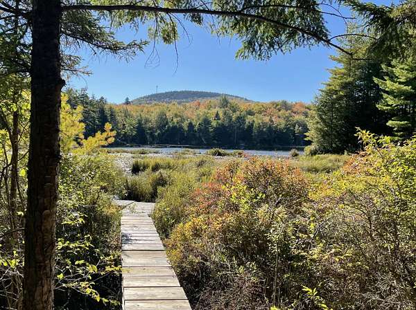4.8 Acres of Land for Sale in Blue Hill, Maine