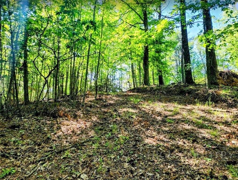 1 Acre of Residential Land for Sale in Vilas, North Carolina