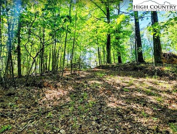 1 Acre of Residential Land for Sale in Vilas, North Carolina