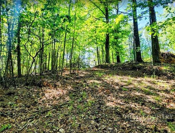 1 Acre of Residential Land for Sale in Vilas, North Carolina
