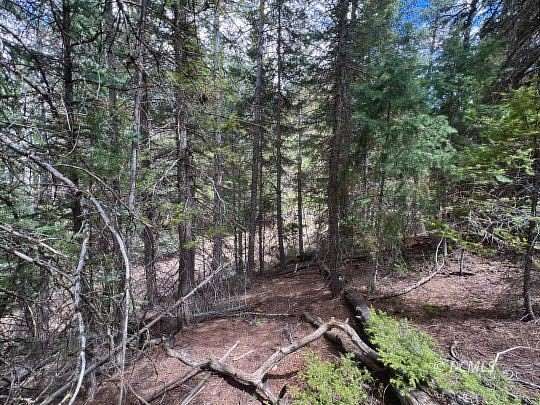 0.59 Acres of Residential Land for Sale in Alton, Utah