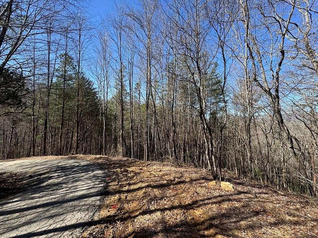 5 Acres of Land for Sale in Hayesville, North Carolina