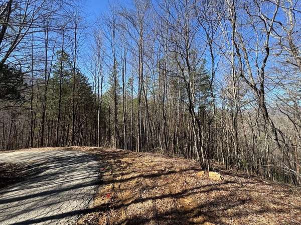 5 Acres of Land for Sale in Hayesville, North Carolina