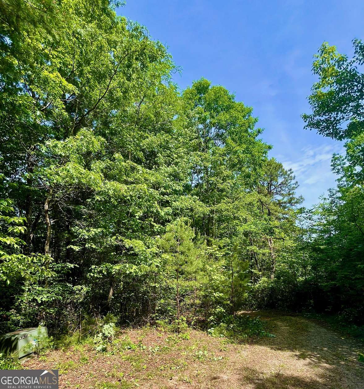 3.76 Acres of Residential Land for Sale in Dillard, Georgia