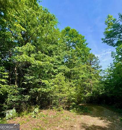 3.76 Acres of Residential Land for Sale in Dillard, Georgia