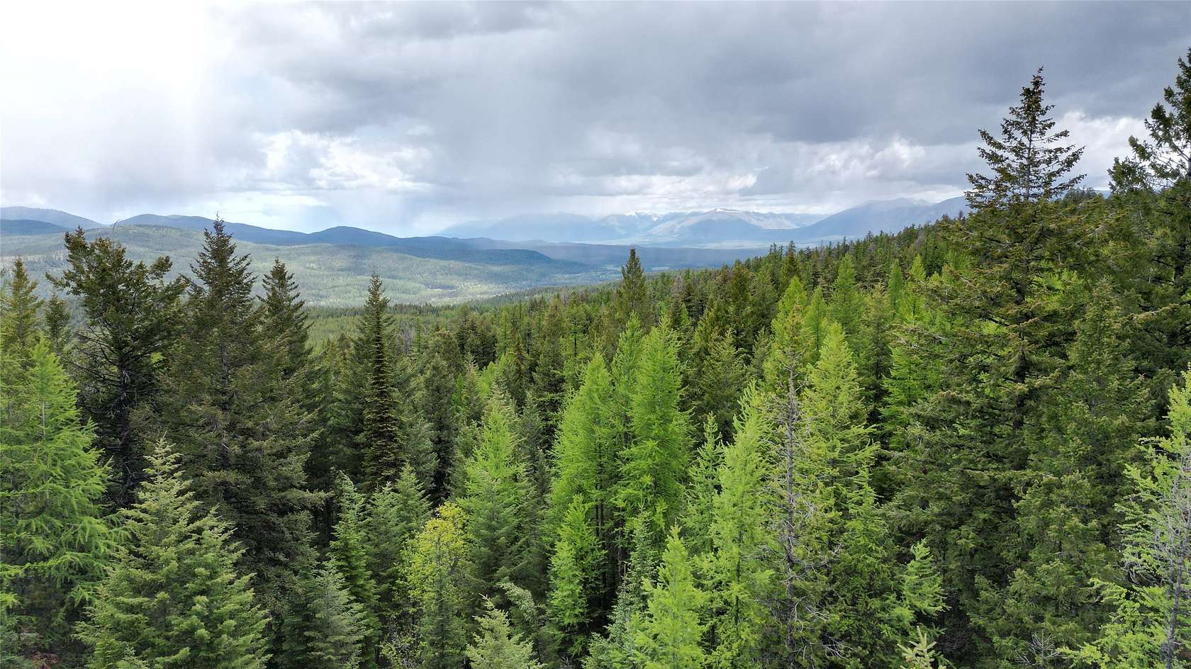 20 Acres of Recreational Land for Sale in Trego, Montana