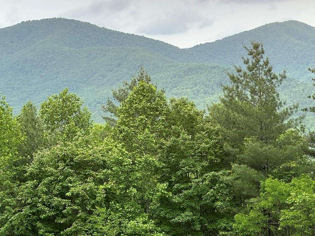 2 Acres of Land for Sale in Murphy, North Carolina