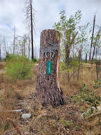 1.9 Acres of Land for Sale in Berry Creek, California