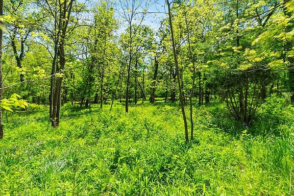 4.54 Acres of Residential Land for Sale in Mundelein, Illinois