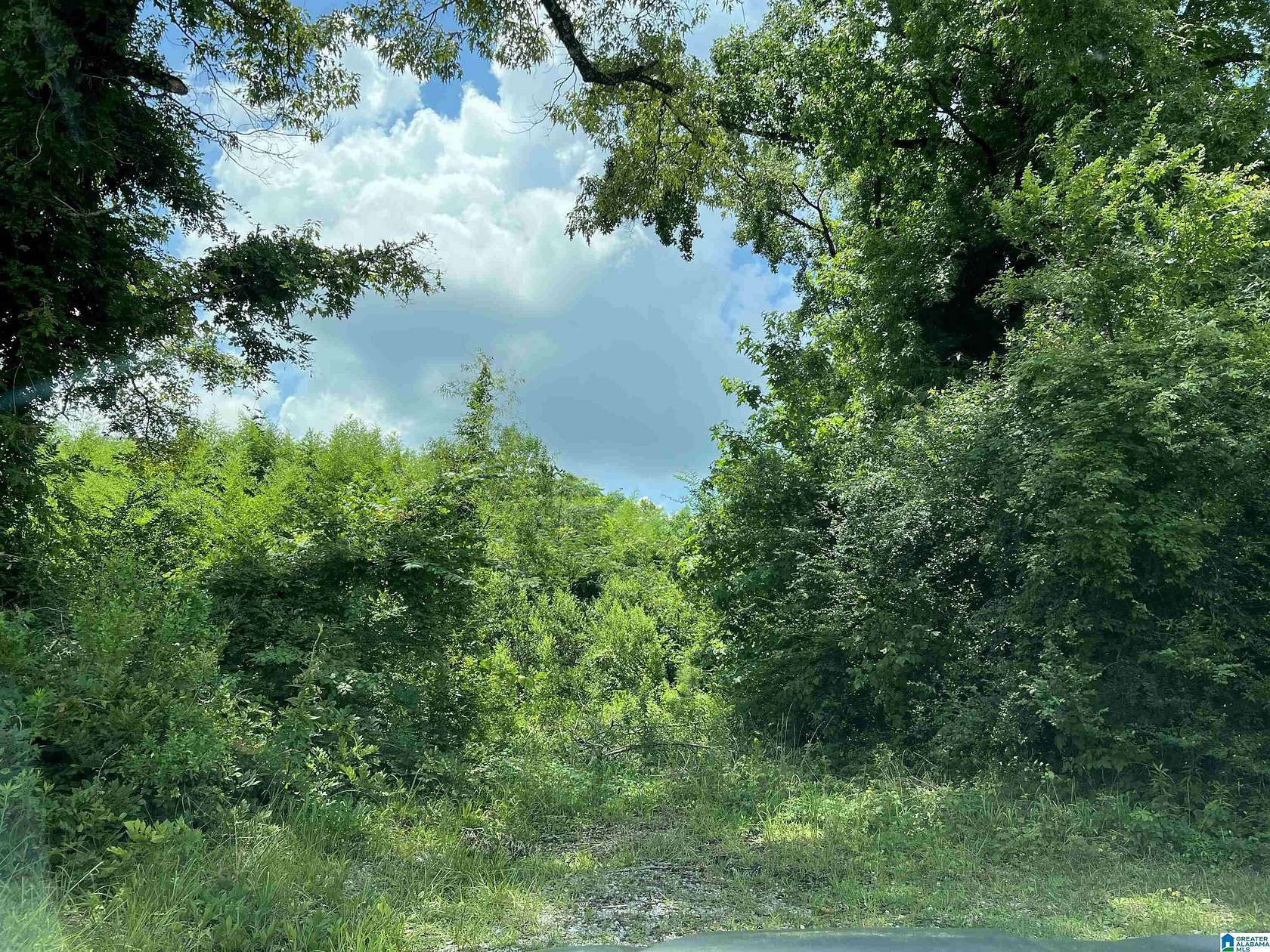 6 Acres of Mixed-Use Land for Sale in Montevallo, Alabama