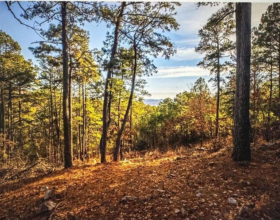 10 Acres of Recreational Land for Sale in Moyers, Oklahoma