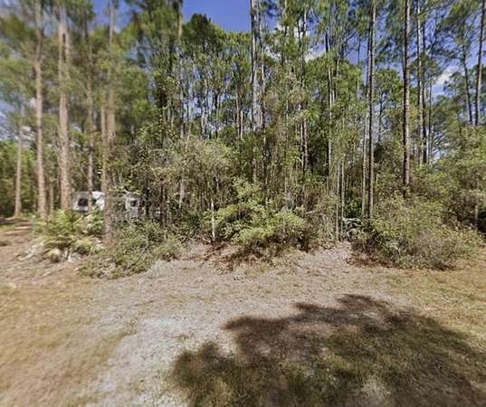 0.23 Acres of Residential Land for Sale in Georgetown, Florida