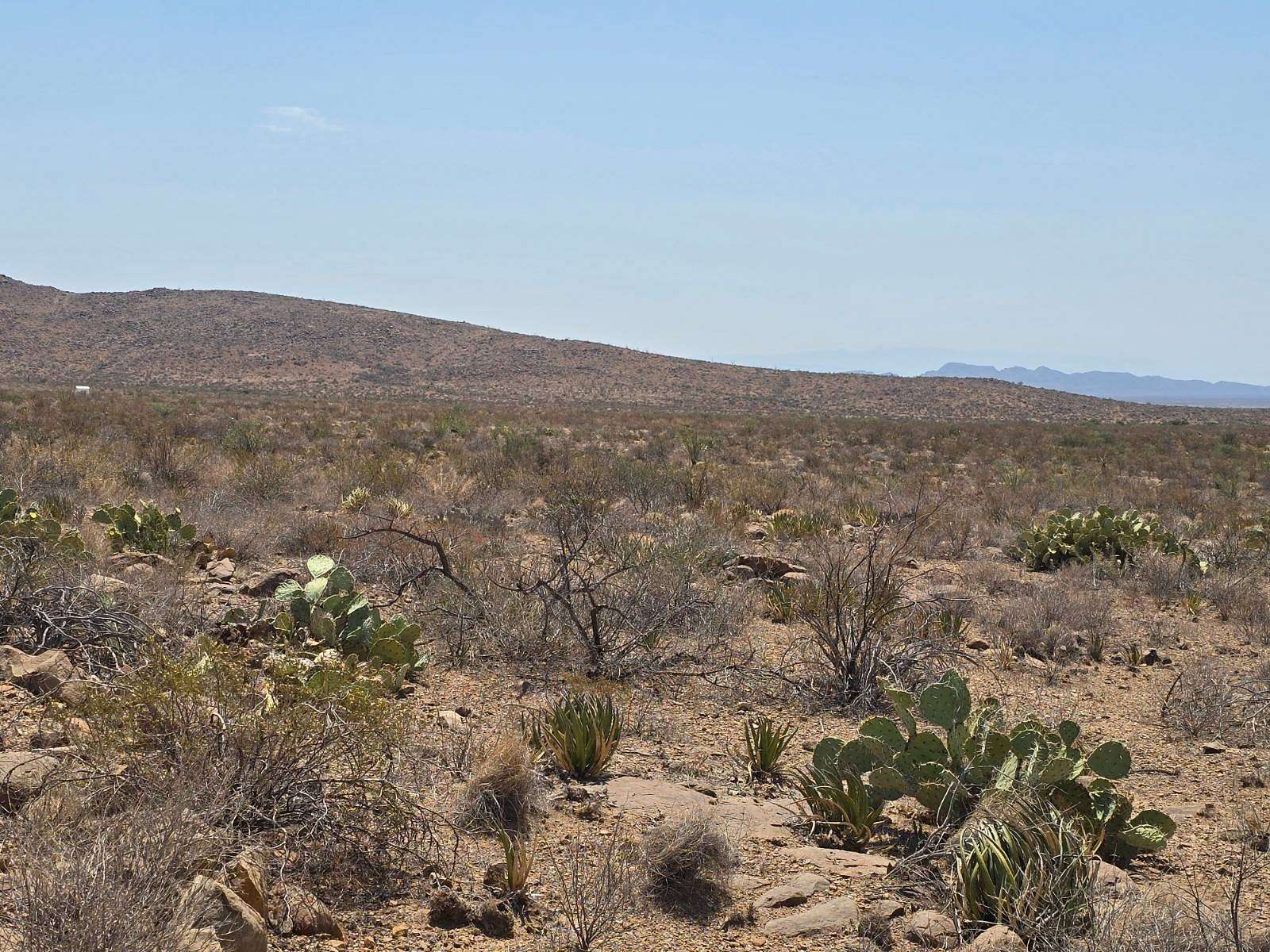 40 Acres of Land for Sale in Terlingua, Texas