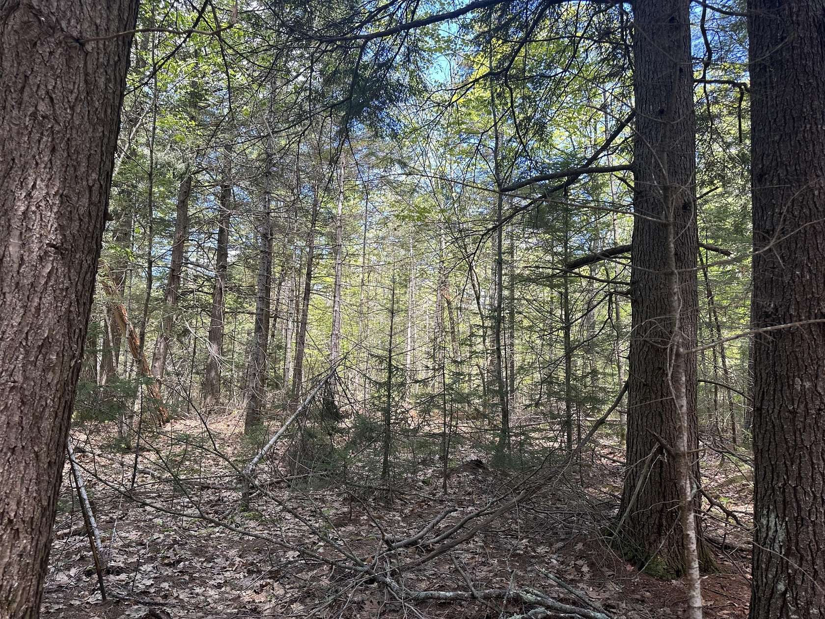 2.85 Acres of Residential Land for Sale in Damariscotta, Maine