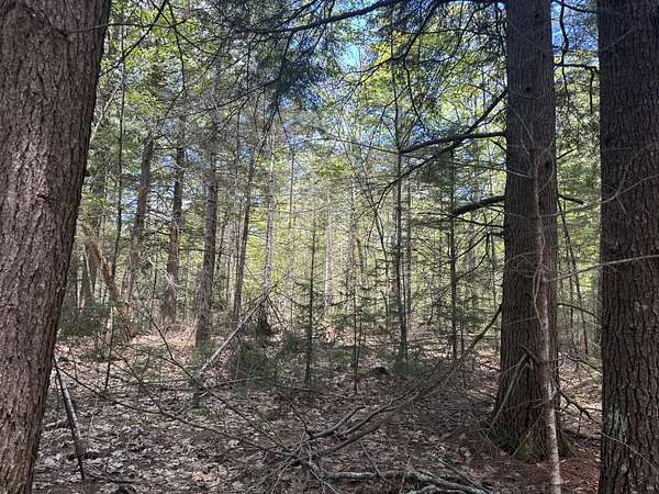 2.85 Acres of Residential Land for Sale in Damariscotta, Maine