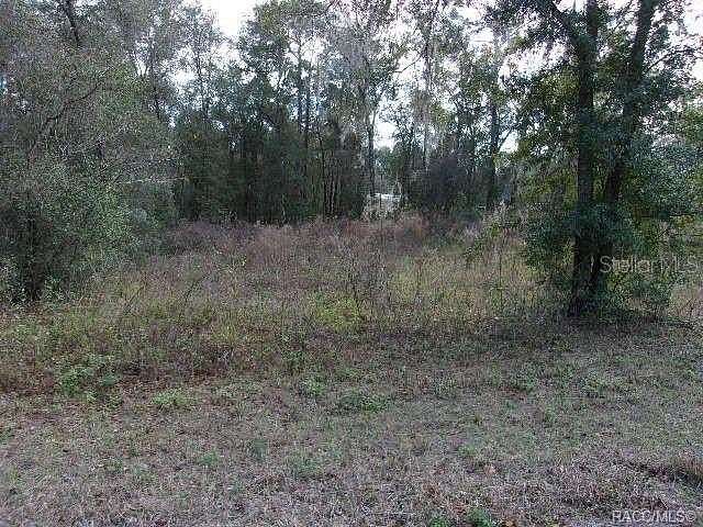 0.22 Acres of Residential Land for Sale in Inverness, Florida