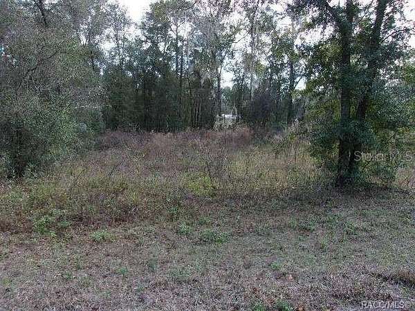 0.22 Acres of Residential Land for Sale in Inverness, Florida